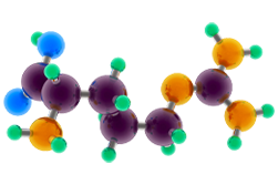 L-Arginine